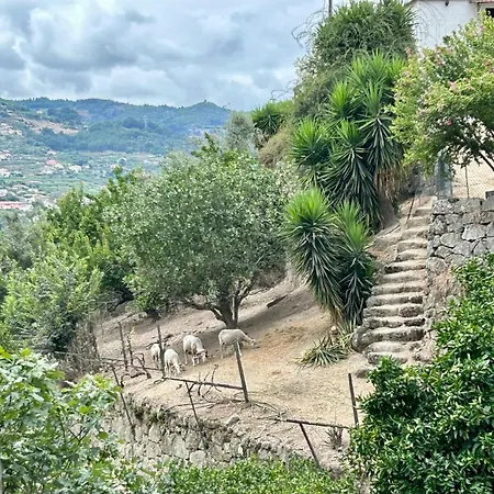 Сasa de vacaciones River View Vineyard In Douro Valley Covelas (Porto)