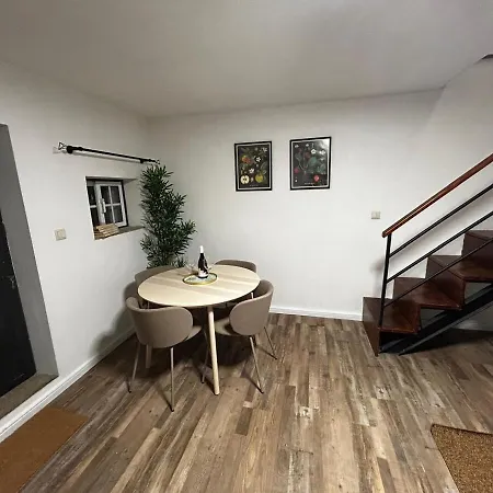 River View Vineyard In Douro Valley Covelas (Porto)