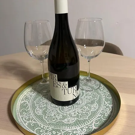 River View Vineyard In Douro Valley Covelas (Porto)