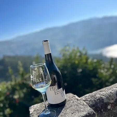 Сasa de vacaciones River View Vineyard In Douro Valley