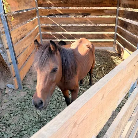 Сasa de vacaciones River View Vineyard In Douro Valley *