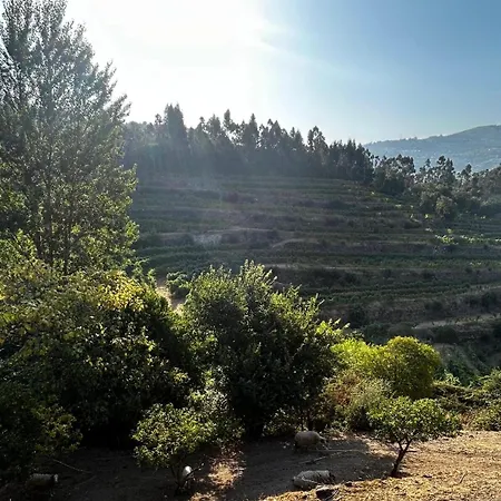 River View Vineyard In Douro Valley