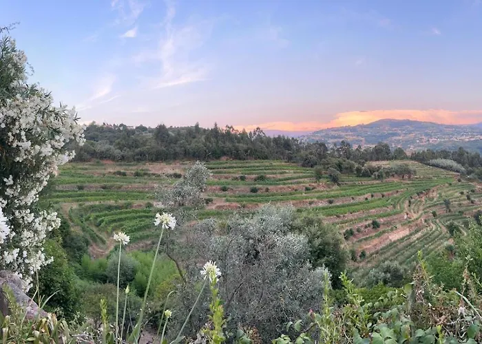 Douro Vineyard Retreat By Pires & Turner *