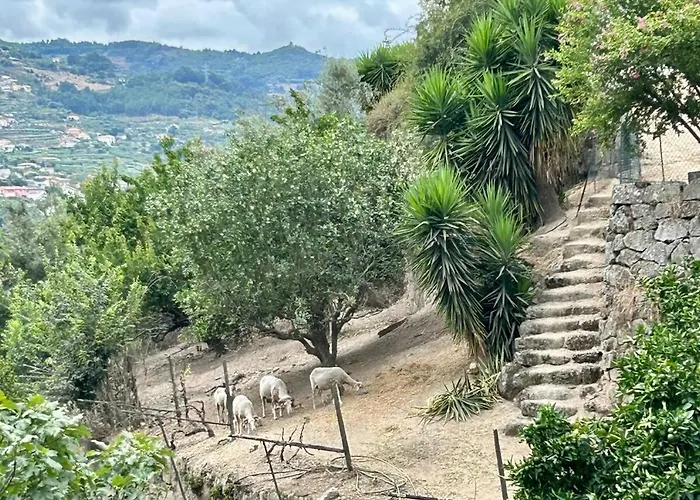 Сasa de vacaciones Douro Vineyard Retreat By Pires & Turner Covelas (Porto)