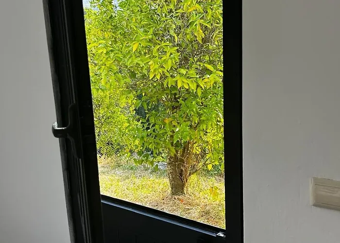 Douro Vineyard Retreat By Pires & Turner Covelas (Porto)