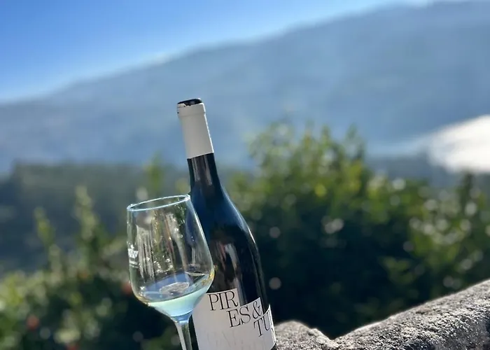 펜션 River View Vineyard In Douro Valley