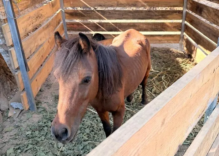 Сasa de vacaciones Douro Vineyard Retreat By Pires & Turner *