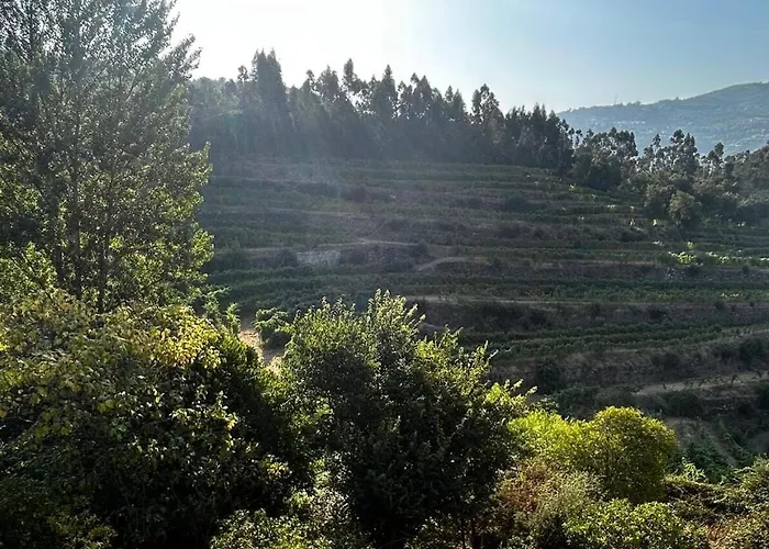 River View Vineyard In Douro Valley